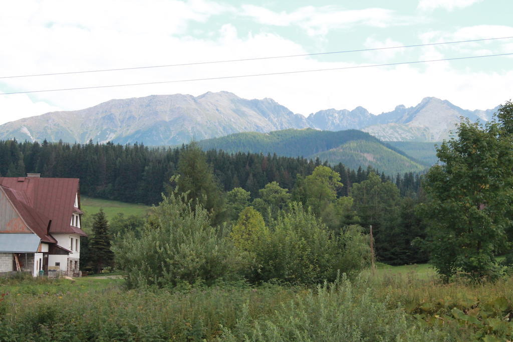 Willa Siklawa Zakopane Bilik gambar